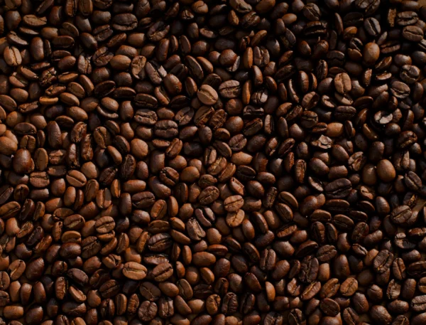 Café en grano natural